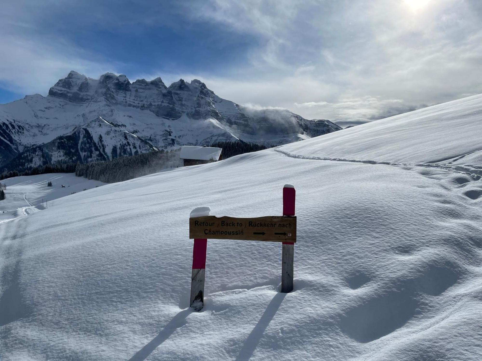 Chalet Montriond - Bike & Ski Les Crosets Buitenkant foto