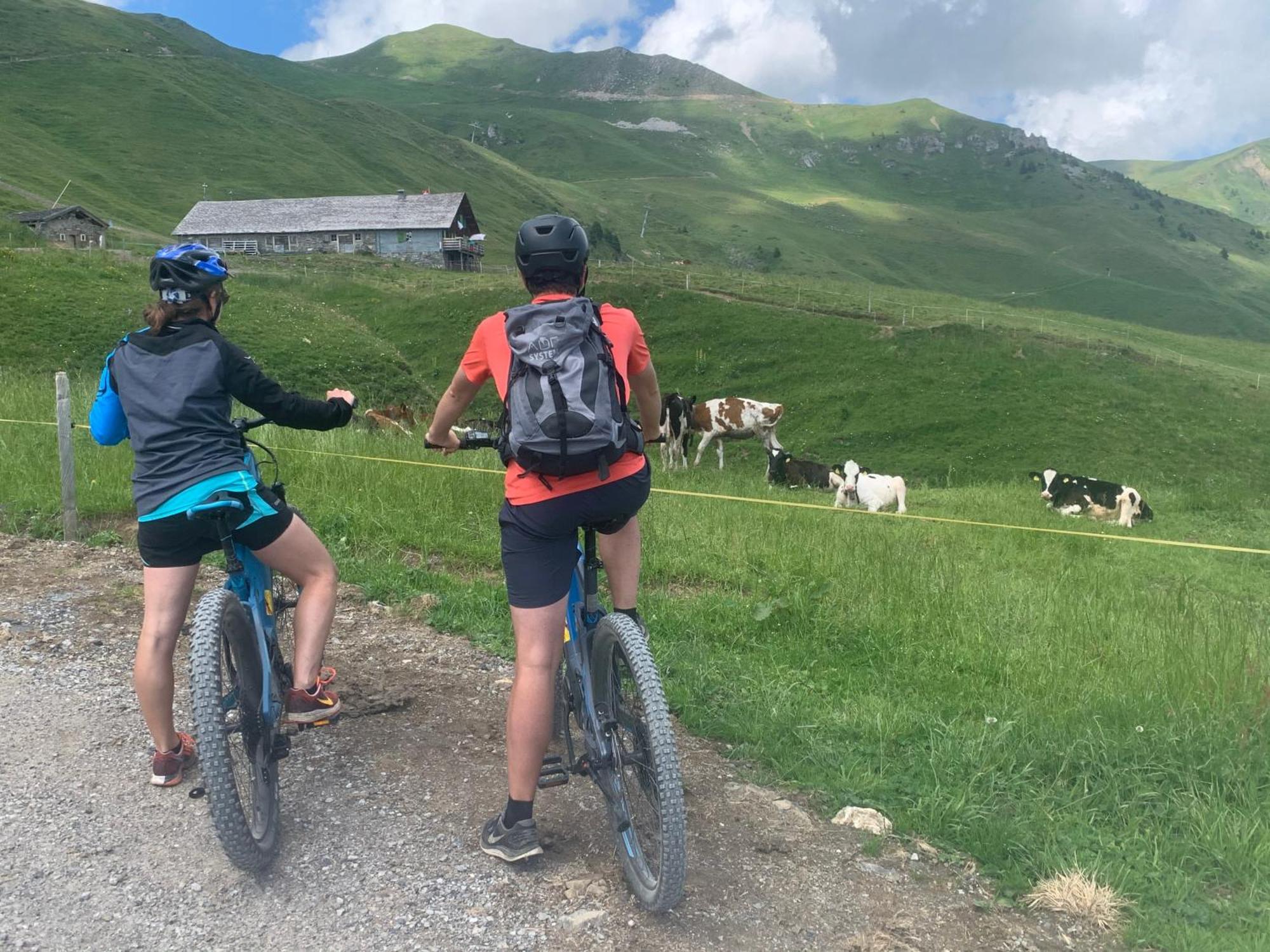Chalet Montriond - Bike & Ski Les Crosets Buitenkant foto