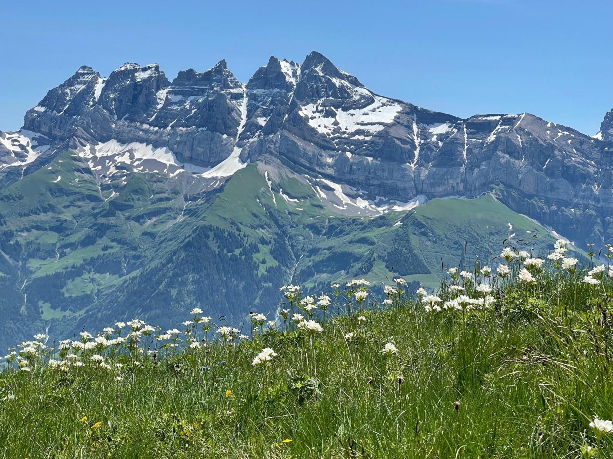 Chalet Montriond - Bike & Ski Les Crosets Buitenkant foto